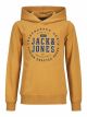 JJSTAMP SWEAT HOOD JNR