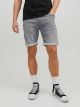 JJIRICK JJICON SHORTS GE 370 I.K SN