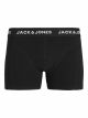 JACARTIN LOGO TRUNK