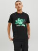 JCOMARINA TEE SS CREW NECK