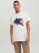 JCOMARINA TEE SS CREW NECK