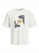 JORPALMA BRANDING AOP TEE SS CREW N