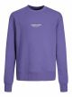 JORVESTERBRO SWEAT CREW NECK JNR