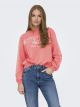 ONLNANNA L/S ART O-NECK BOX UB SWT