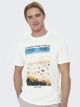 ONSKOLTON REG BEACH PHOTOPRINT SS T