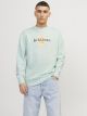 JORLAFAYETTE BRANDING SWEAT CREW