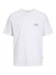JORNOTO ARTSY TEE SS CREW NECK