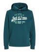 JJELOGO SWEAT HOOD 2 COL 24/25 NOOS