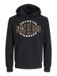 JJELOGO SWEAT HOOD 2 COL 24/25 NOOS