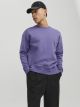 JJESTAR BASIC SWEAT CREW NECK NOOS