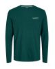 JJALVIS TEE LS CREW NECK