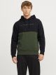 JJSTAR JJ BLOCKED SWEAT HOOD