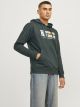 JORPORTLAND BLOCK SWEAT HOOD LN
