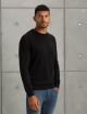 Crewneck essential cotton stretch