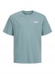 JJSTYD LOOSE GRAPHIC TEE SS CNECK L