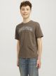 JJECALEB VARSITY TEE SS O-NECK NOOS