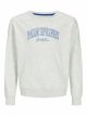 JJDETROIT SWEAT CREW NECK JNR