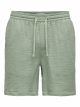ONSTEL-PAS 0158 SHORTS