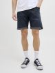 JJIRICK JJICON SHORTS GE 604 I.K SN