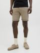 JJIRICK JJICON SHORTS SQ 110