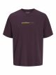 JJRODY TEE SS CREW NECK