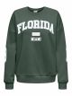ONLVICTORY L/S O-NECK FIT SWT