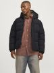 JJEBRADLEY PUFFER HOOD SN