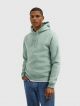 Regular Fit Hoodie LS Sweaters