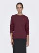 JDYPARIS L/S  EMB SWEAT JRS
