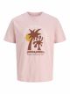 JORDOWN TEE SS CREW NECK STYDSS25
