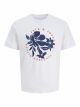 JORDOWN TEE SS CREW NECK STYDSS25