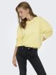 JDYMESA L/S O-NECK EMB SWEAT JRS NO