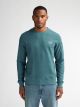 Men Sweater Round Neck