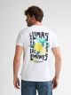 Men T-Shirt SS Classic Print