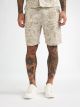 Men Shorts Chino